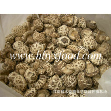 Cogumelo Shiitake de flor branca seco